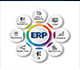 Enterprise Resource Planning(ERPs)